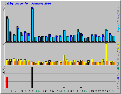 Daily usage for January 2010