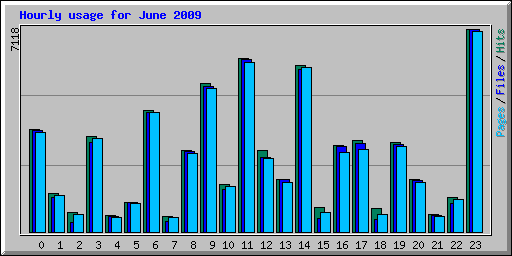 Hourly usage for June 2009