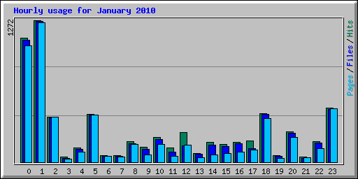 Hourly usage for January 2010
